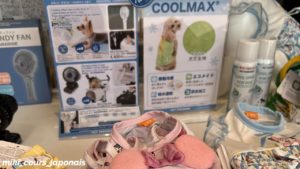 Les articles rafraîchissants pour protéger les chiens de la chaleur au Japon